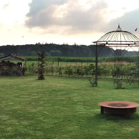 Op Het Broek Appartement Harfsen